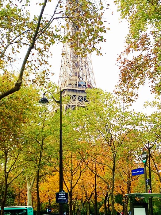 Eiffel Tower fall|paris fall colors|Paris autumn colors